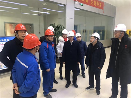 瀘天化股份公司黨委書記廖廷君率隊赴中鹽紅四方公司及史丹利公司調(diào)研