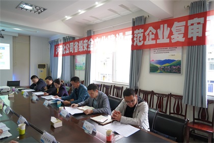 瀘天化股份公司通過(guò)“省級(jí)安全文化建設(shè)示范企業(yè)”復(fù)審驗(yàn)收現(xiàn)場(chǎng)審核
