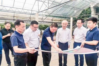 瀘州市委常委、組織部長曹斌率隊調研瀘天化納溪現(xiàn)代農業(yè)種植園項目